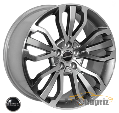 Диски ZF 1027 GMF R20 W9.5 PCD5x120 ET45 DIA72.6